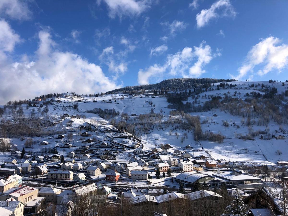 Magnifique Appartement Classe 4 Etoiles Avec Sauna Et Terrasse Dans Chalet La Bresse Exterior foto